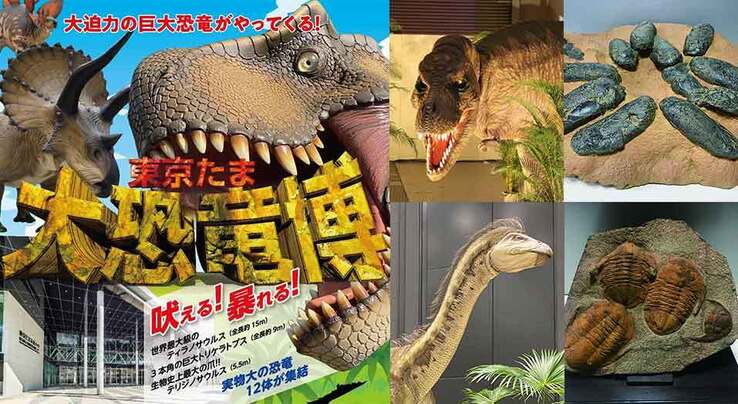 世界最大級のティラノサウルスなど実物大の恐竜12体が集結する展示会「東京たま大恐竜博」開催 | 日本コンベンションサービス株式会社 - JCS